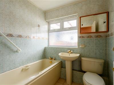 Picture 7